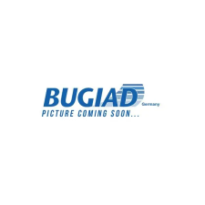 BUGIAD Töltőlevegő cső BUGIAD 82510 autóalkatrész