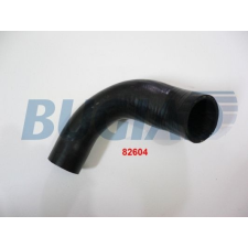 BUGIAD Töltőlevegő cső BUGIAD 82604 autóalkatrész