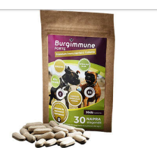  Burgimmune FORTE Prémium Immunerősítő Tabletta - 30 db-os RAKTÁRON vitamin, táplálékkiegészítő kutyáknak