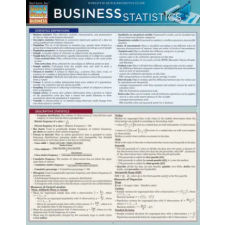  Business Statistics – Ravi Behara idegen nyelvű könyv