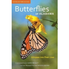  Butterflies of Alabama – Sara Bright idegen nyelvű könyv