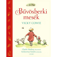  Bűvösberki mesék gyermek- és ifjúsági könyv