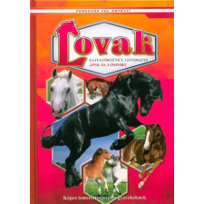 Cahs Bt. Múzsa Könyvkiadó Lovak - Képes ismeretterjesztés gyerekeknek /Fedezzük fel együtt! gyermek- és ifjúsági könyv