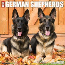  CAL 24 GERMAN SHEPHERDS – WALL naptár, kalendárium