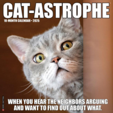 CAL 25 CAT ASTROPHE 2025 WALL – WALL naptár, kalendárium
