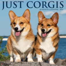  CAL 25 CORGIS 2025 WALL – WALL naptár, kalendárium