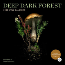 CAL 25 DEEP DARK FOREST WALL CALENDAR – WALL naptár, kalendárium