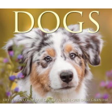 CAL 25 DOGS 2025 BOX – BOX naptár, kalendárium