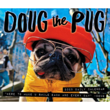 CAL 25 DOUG THE PUG 2025 BOX USA – BOX naptár, kalendárium