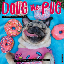  CAL 25 DOUG THE PUG 2025 MINI WALL – MINI WALL naptár, kalendárium
