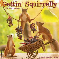 CAL 25 GETTIN SQUIRRELLY 2025 WALL – WALL naptár, kalendárium