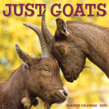 CAL 25 GOATS 2025 WALL – WALL naptár, kalendárium