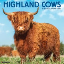 CAL 25 HIGHLAND COWS 2025 WALL – WALL naptár, kalendárium