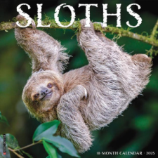 CAL 25 SLOTHS 2025 WALL – WALL naptár, kalendárium