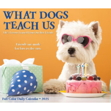 CAL 25 WHAT DOGS TEACH US 2025 BOX – BOX naptár, kalendárium