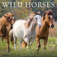 CAL 25 WILD HORSES 2025 WALL – WALL naptár, kalendárium