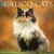  Calico Cats 2027 12 X 12 Wall Calendar – Willow Creek Press (Naptár)
