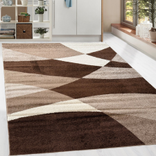 Cameron 6920 (Brown) szőnyeg 80x150cm Barna lakástextília