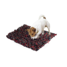 Camon Stratégiai játék "Genius" szimat szőnyeg Szürke-piros 50*60 cm játék kutyáknak
