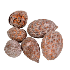 Cane fruit pálma mag falfestékes old pink 17dkg/csom dekorációs kellék