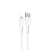 Canyon Kábel lightning Apple,Ipod,Ipad, Iphone USB kábel 1m