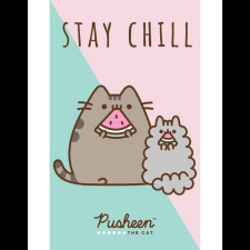 Carbotex Baby Towel Pusheen Stay Chill, 30 × 50 cm (040134-LICENC002A) lakástextília