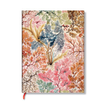  Carnets Flexis William Kilburn Anemone Midi LIG. 176pg. naptár, kalendárium