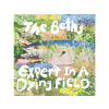 CARPARK The Beths - Expert In A Dying Field (Cd)