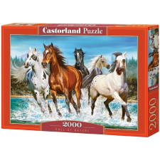 Castorland Call of Nature 2000 pcs Kirakós játék 2000 db Állatok (290188) puzzle, kirakós