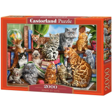 Castorland House of Cats Kirakós játék 2000 db Állatok (290187) puzzle, kirakós