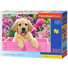 Castorland Labrador kölyök rózsaszín dobozban 300 db-os (B-030071) puzzle, kirakós