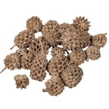  Casuarina falfestékes cappuccino 17dkg/csom dekorációs kellék