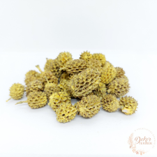  Casuarina - falfestékes sárga dekorációs kellék