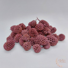  Casuarina - falfestékes szeder színű dekorációs kellék