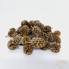  Casuarina - világos arany dekorációs kellék