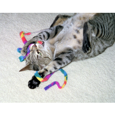 Cat Dancer Macska táncos pálca kötéllel macskajáték játék macskáknak