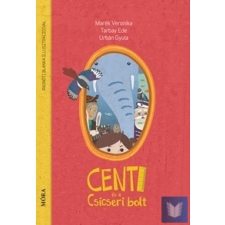 Centi és a Csicseri bolt gyermek- és ifjúsági könyv