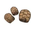  Ceramic Nature | Teknős páncél alakú, kerámia barlang | Xl -es