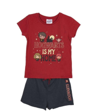 Cerda Pijama Harry Potter Roxfort az otthonom Pentru Baieti 128 cm