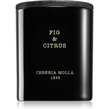 Cereria Mollá Boutique Fig & Citrus illatgyertya 230 g gyertya