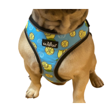  Citromos komfort kutyahám, M-es nyakörv, póráz, hám kutyáknak