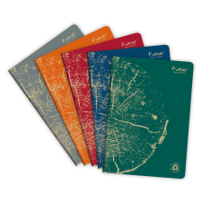 Clairefontaine füzet (A4, 48 lap, vonalas, tűzött, 5-féle) Forever Premium (4) füzet
