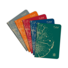 Clairefontaine füzet (A5, 48 lap, vonalas, tűzött, 5-féle) Forever Premium (4) füzet
