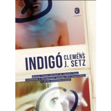 Clemens J. Setz Indigó regény