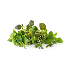 Click and Grow olasz fűszernövény keverék kapszula 9db (PPMIPX9) (PPMIPX9) vitamin és táplálékkiegészítő