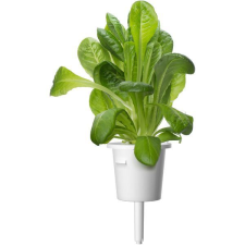 Click and Grow római saláta kapszula magokkal és szubsztrátummal 9 db (SGR50X9) (SGR50X9) vitamin és táplálékkiegészítő
