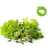 ClickAndGrow Steak & Grill Mix