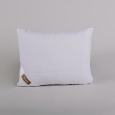 Clima control párna coll 40x50 300g lakástextília