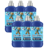 COCCOLINO Passion Flower &amp; Bergamot Öblítő koncentrátum 306 mosás 6x1275ml