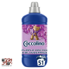  Coccolino Perfume &amp; Care Purple Orchid &amp; Blueberries öblítőkoncentrátum 51 mosás 1275 ml